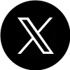 公式X